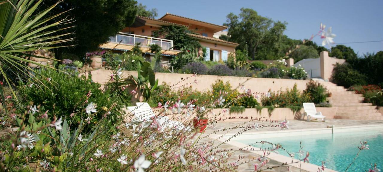Villa Mimosa Favone Zewnętrze zdjęcie